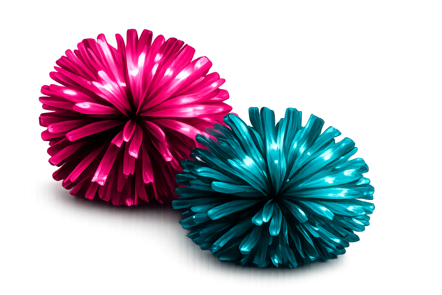 Pom Poms